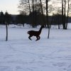 img_0079 - kopie